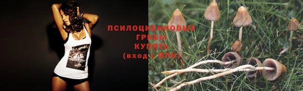 мескалин Мегион