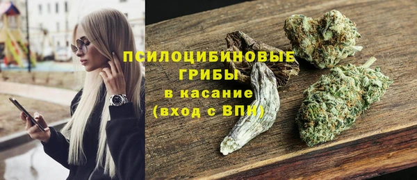 a pvp Гусь-Хрустальный