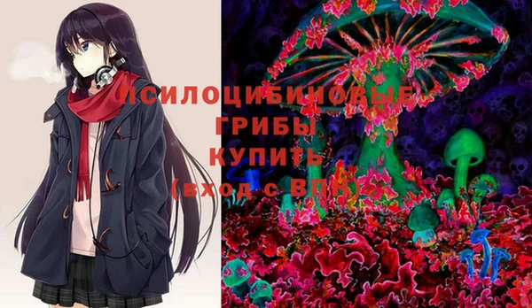 ПСИЛОЦИБИНОВЫЕ ГРИБЫ Медвежьегорск