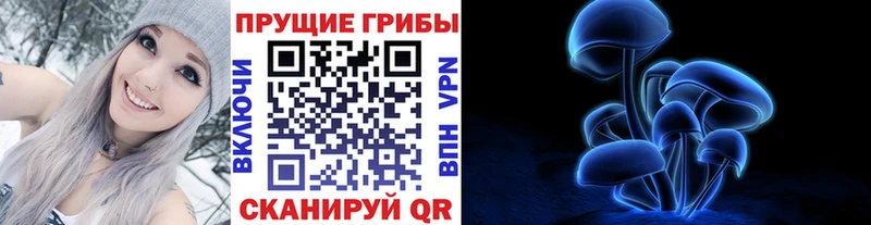 OMG   Пенза  Псилоцибиновые грибы прущие грибы 