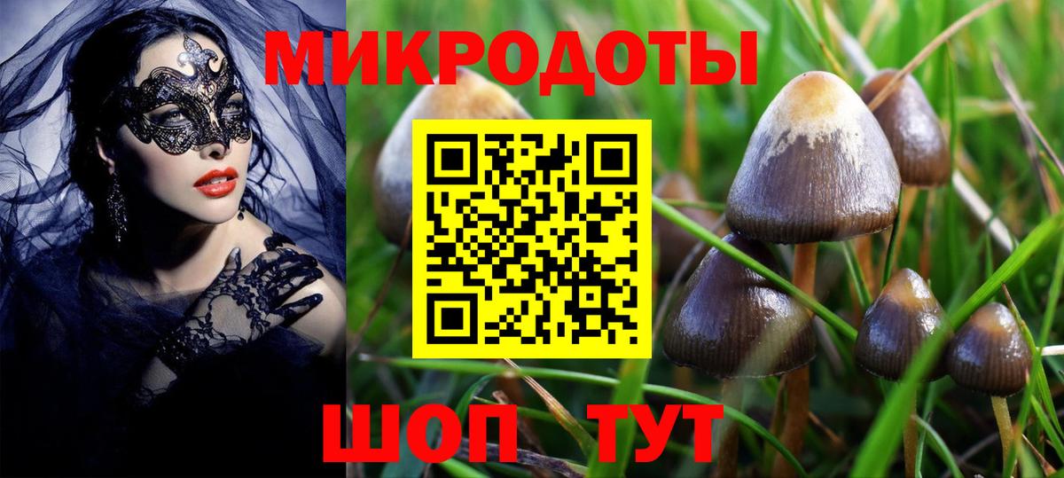 Россия  где найти наркотики  Вход с VPN  Псилоцибиновые грибы Magic Shrooms 