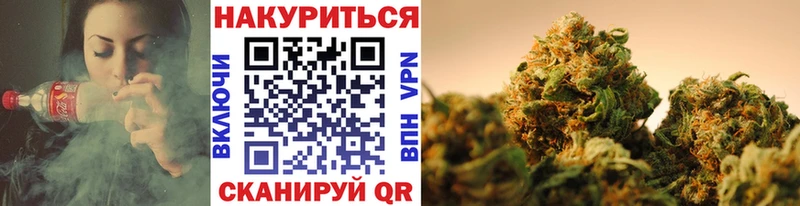 наркотики Пенза Шишки марихуана конопля